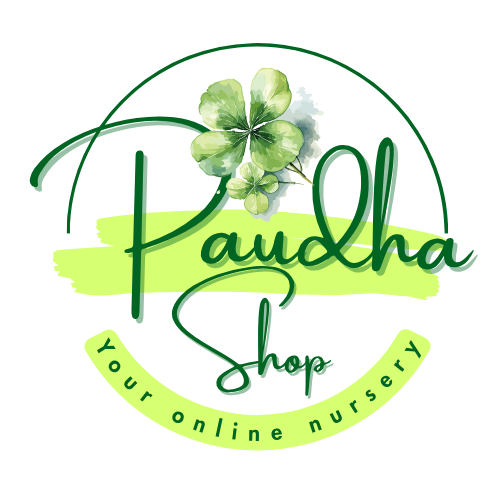paudhashop.com